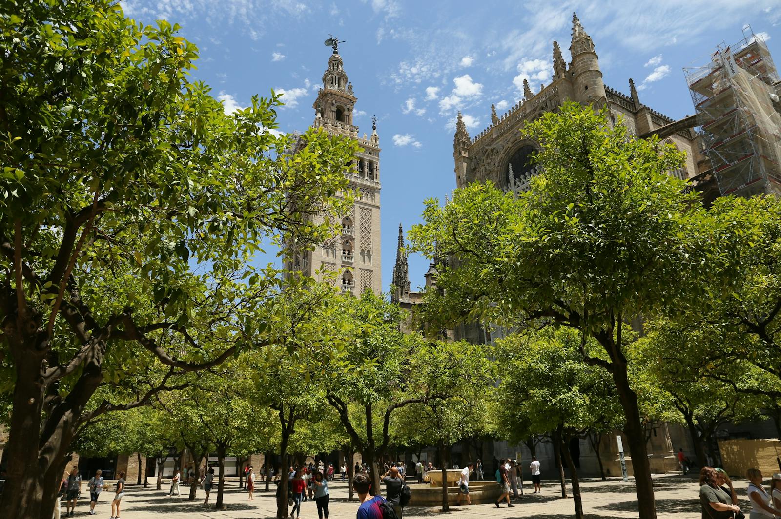 Laag hoekperspectief van de Kathedraal van Sevilla tussen de bomen