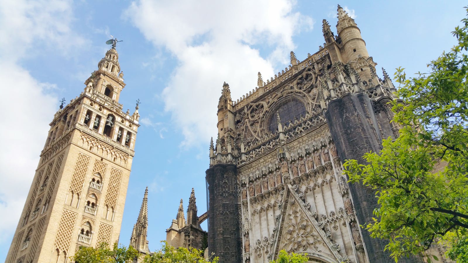 Låg vinkel av Sevillas katedral och Giralda